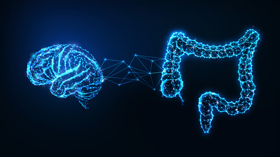 Illustration of gut and brain signals